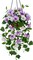 Artificial Hanging Flowers for Outdoors, Fake Hanging Morning Glory Plants & Flowers (White Purple)